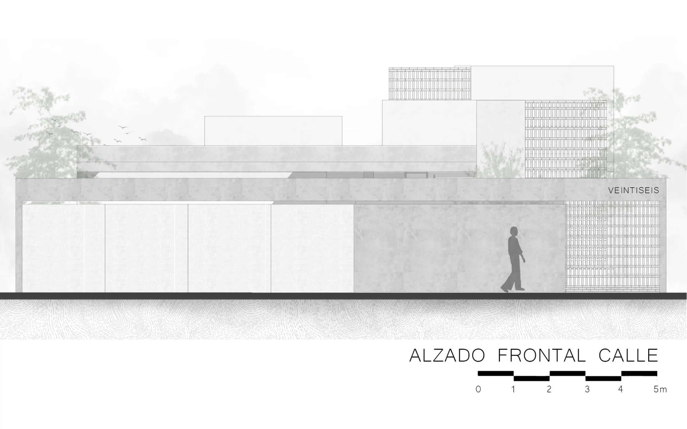 Plano Alzado Frontal del proyecto Casa DM
