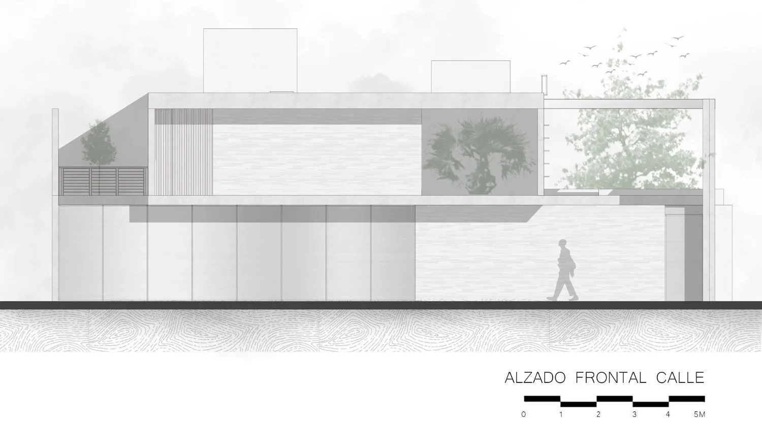 Plano Alzado Frontal Calle del proyecto Casa Arenal