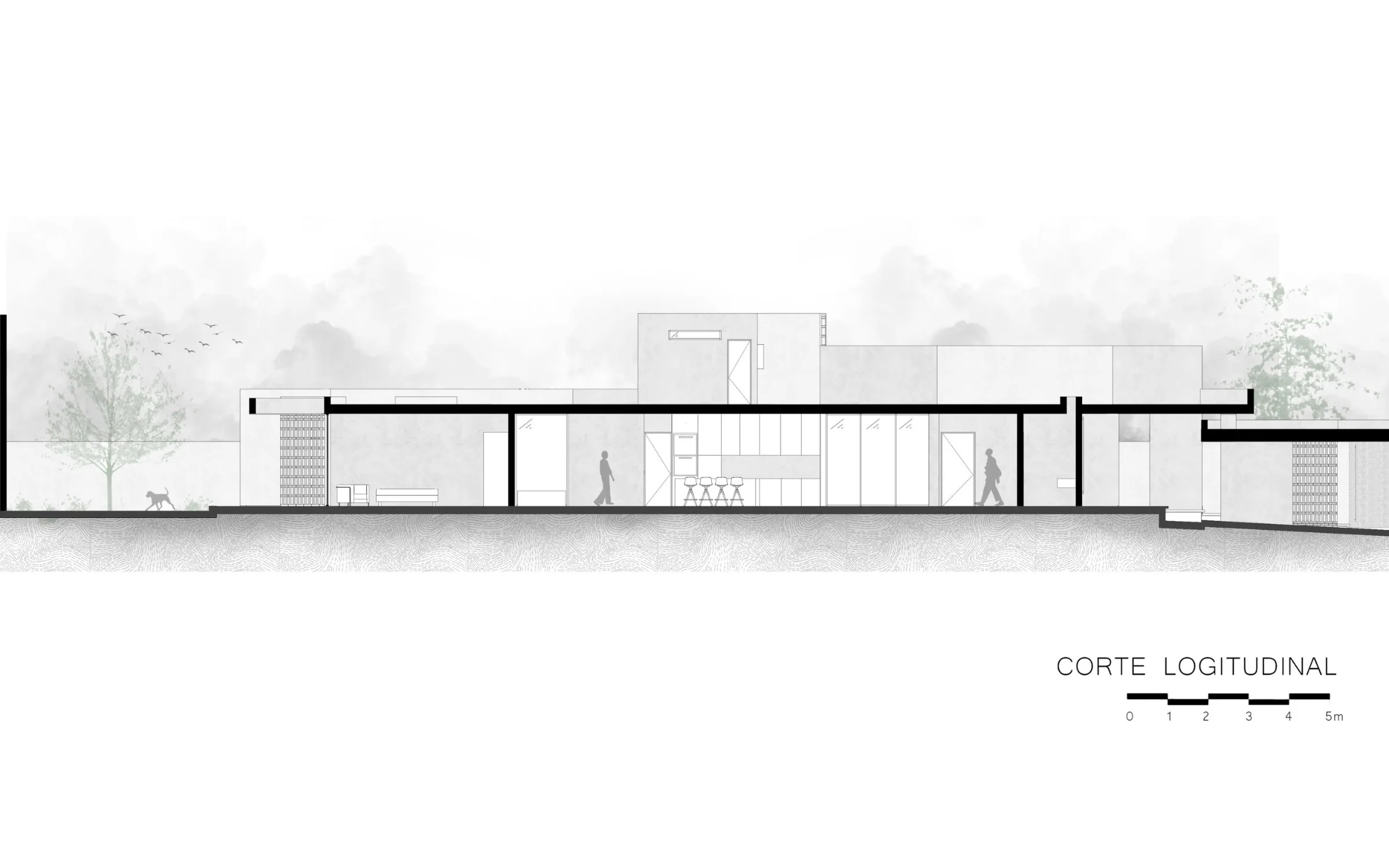 Plano Corte Longitudinal del proyecto Casa DM