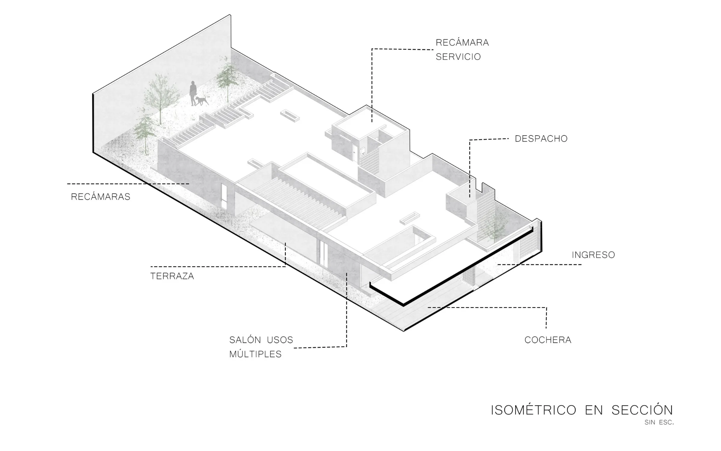 Plano Isométrico en Sección del proyecto Casa DM
